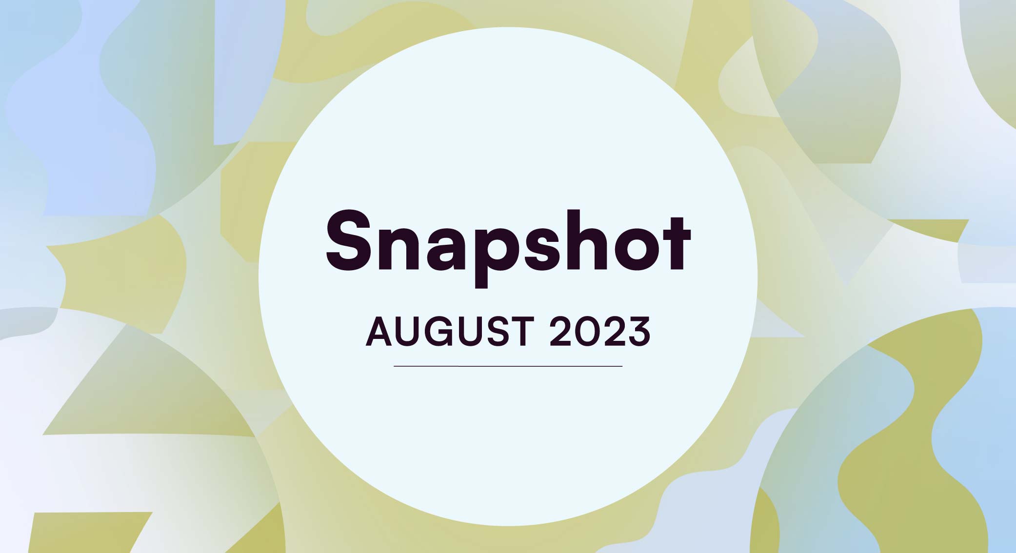 August 2023 Snapshot Amplify august-2023-snapshot-amplify